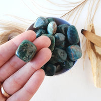 Blue APATITE tumbled stone for creativity, confidence, motivation reiki healing throat chakra meditation